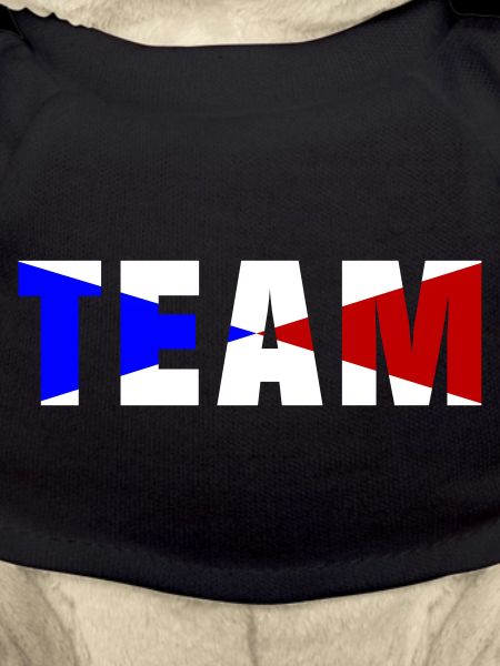 Team France
