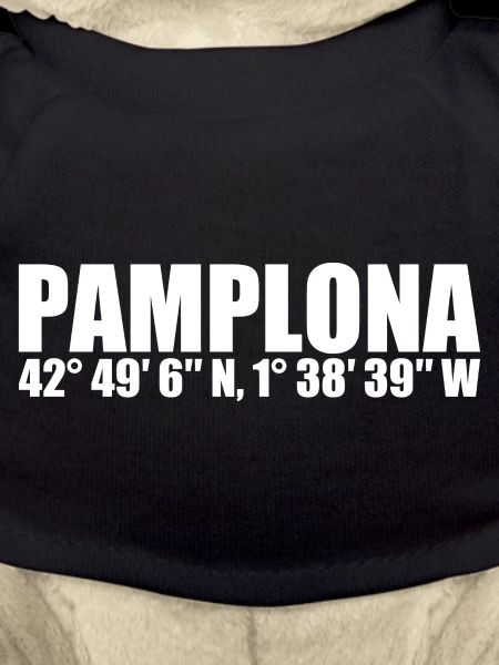 Coordonnées de Pampelune