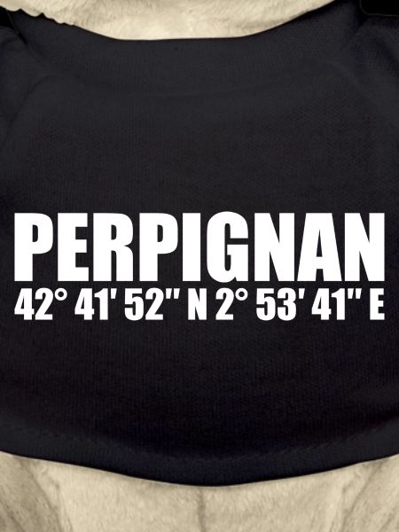Coordonnées de Perpignan