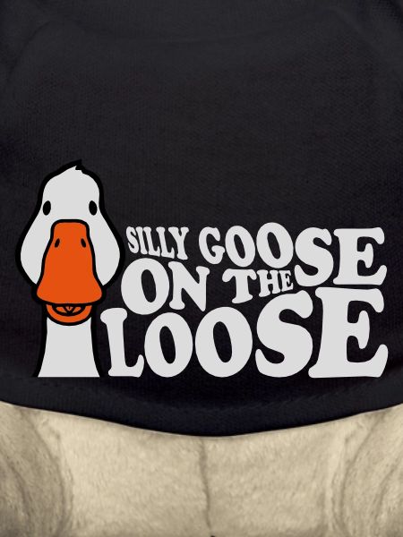 goose on the loose