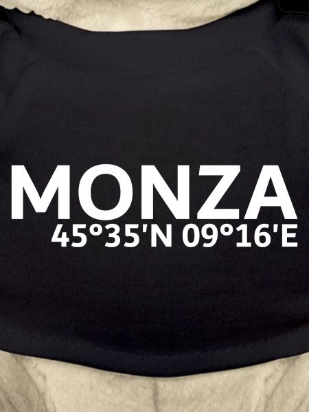 Coordonnées de Monza