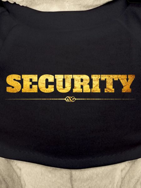 Security