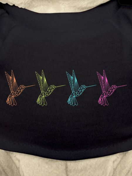 Geometric Hummingbirds - Abstract Graphics