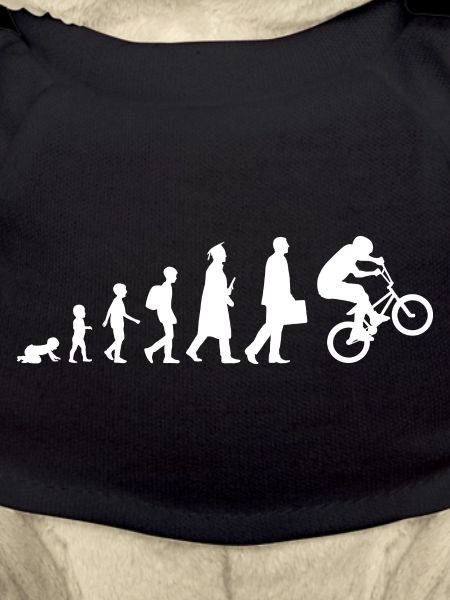 Evolution of BMX