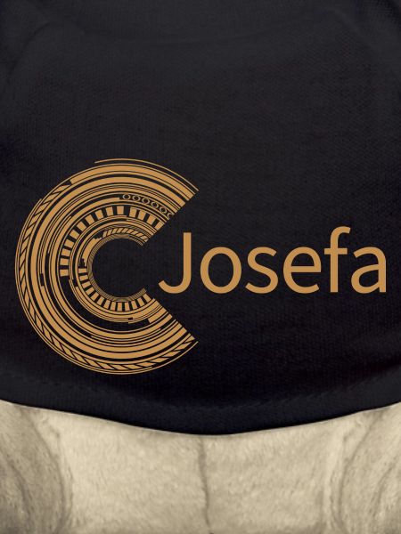 For Josefa