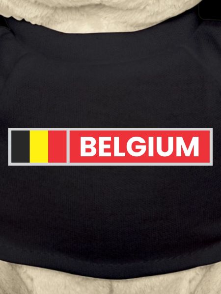 Belgium Flag