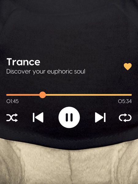 Transe