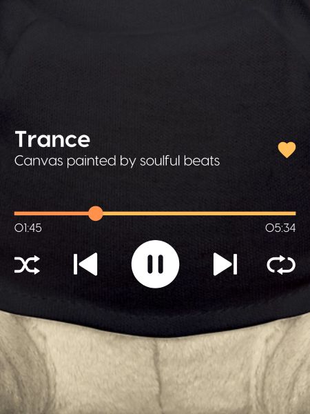 Transe