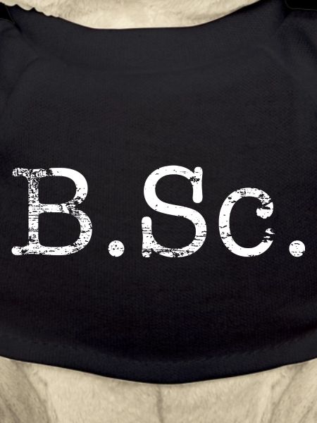Bachelor of Science