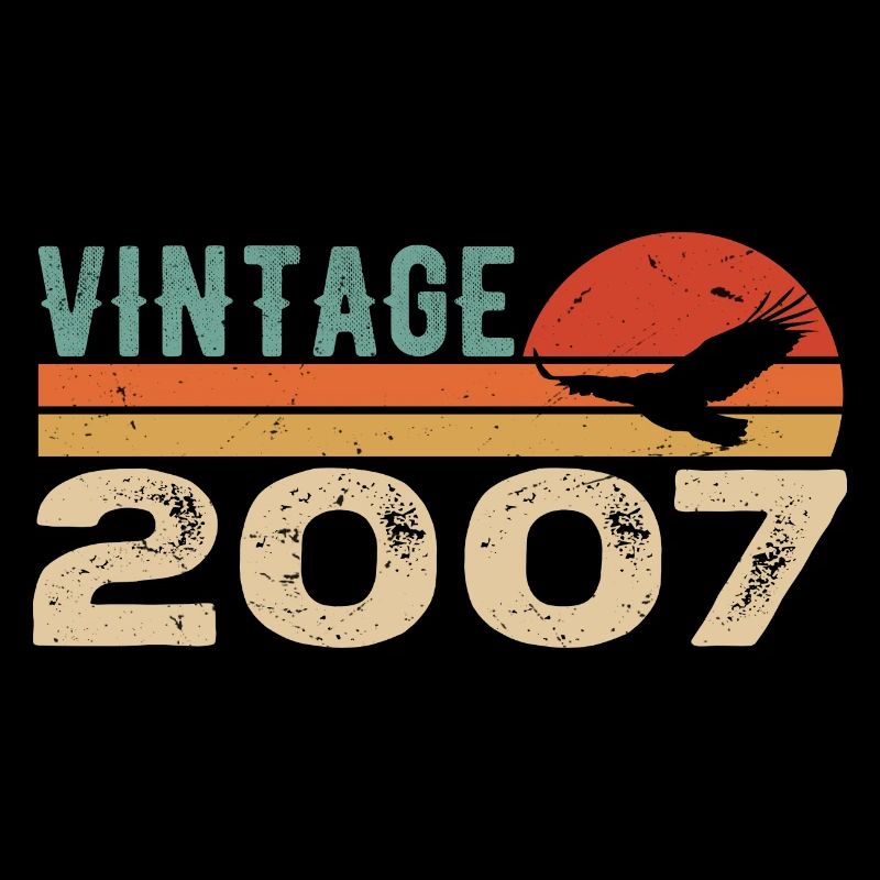 Vintage 2007 Retro 2007 Birthday Gift