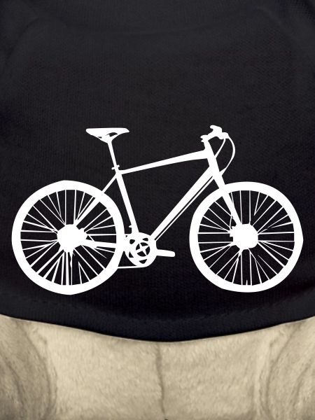 Bicycle Wheel