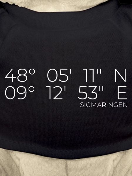 Coordinates Sigmaringen