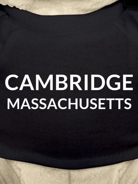 Cambridge Massachusetts USA