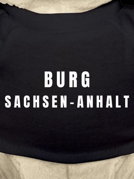 Castle of Saxony-Anhalt