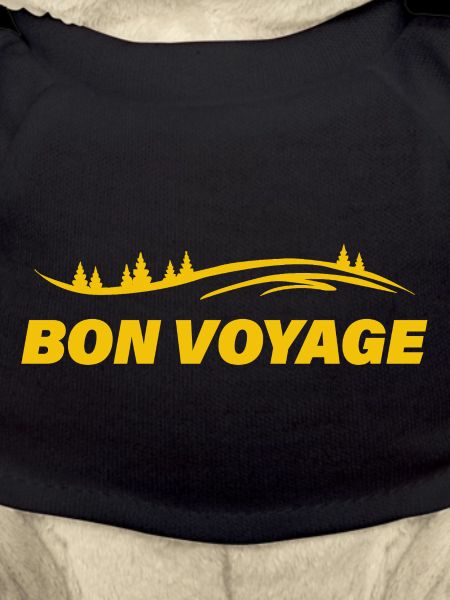 BON VOYAGE