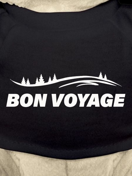 BON VOYAGE