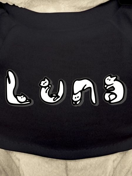 Luna