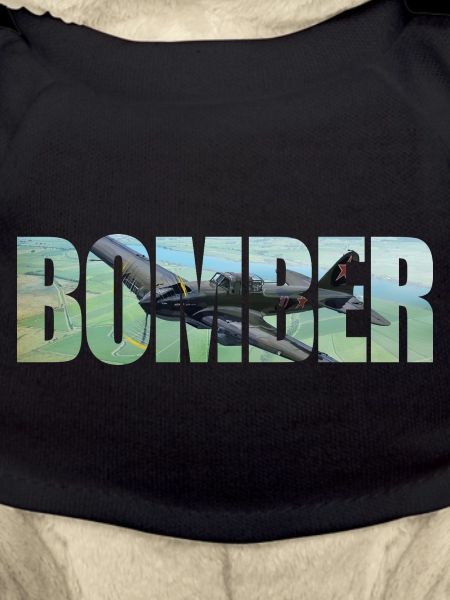 Bomber IL-2