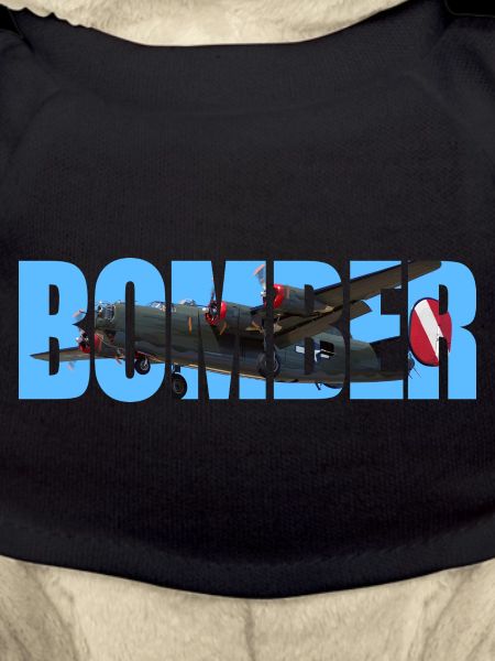 Bomber B-24 Liberator