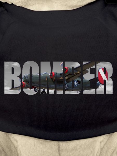 Bomber B-24 Liberator