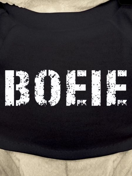 Boo. Antwerp dialect
