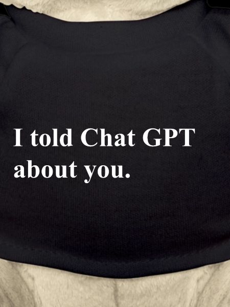 I Told ChatGPT About You Statement