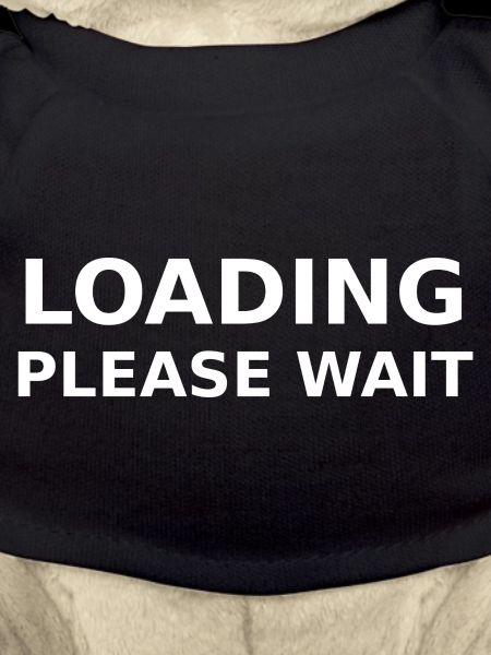 LOADING – PLEASE WAIT