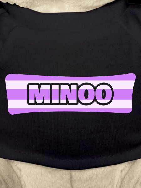Cadeau pour Minoo
