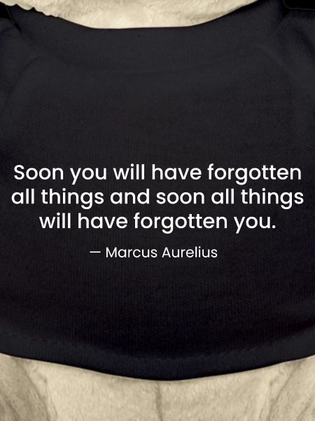 Marcus Aurelius Stoic Quote design