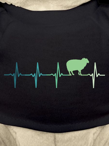 Sheep heartbeat Sheep Sheep