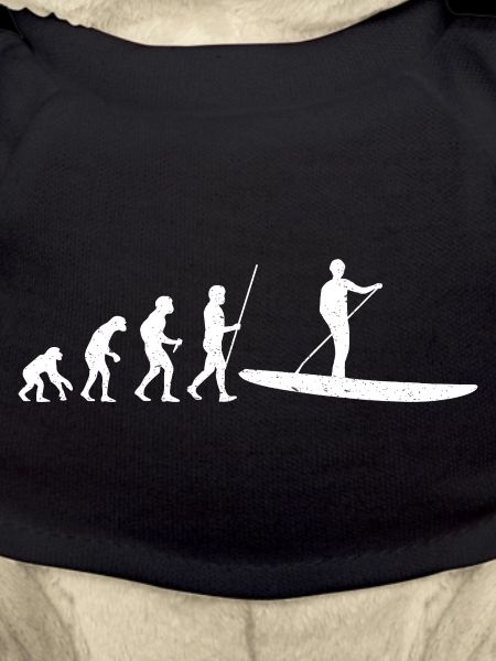SUP Evolution