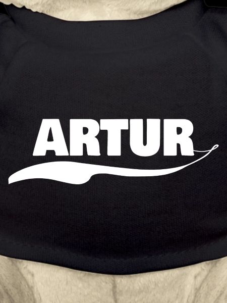 Gift Artur