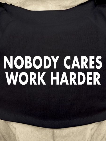 Nobody Cares, Work Harder
