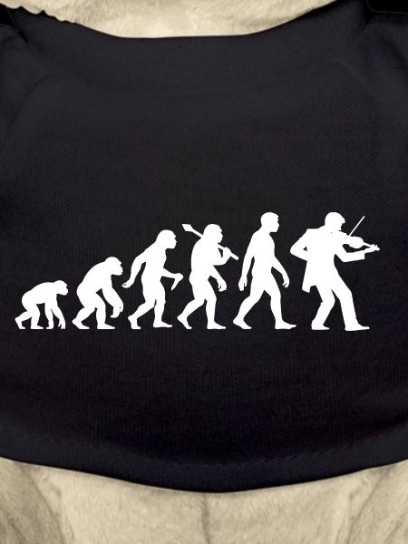 Geiger Evolution Violinist Violine Geige Spielen