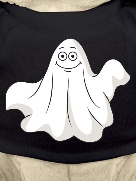 Halloween ghost ghost