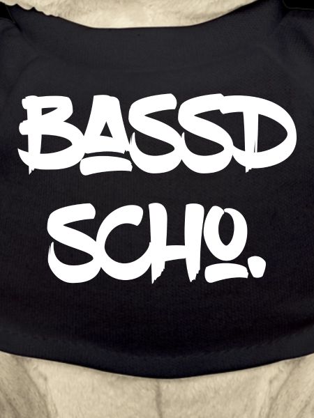 Bassd scho. Saucool font.