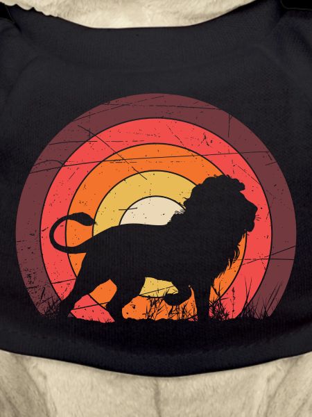 A lion