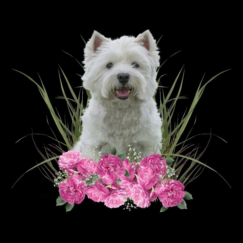 West Highland Terrier