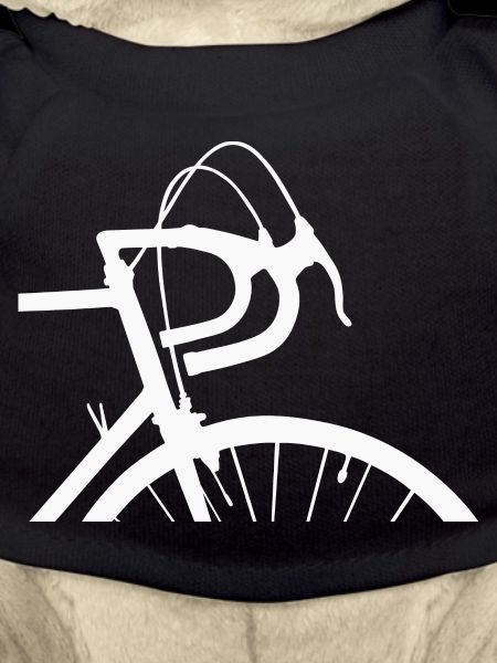 Racing bike classic