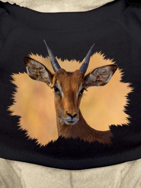 Impala