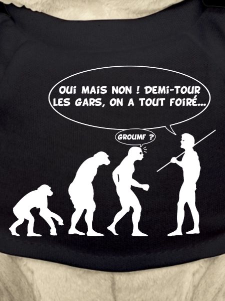 évolution inversée