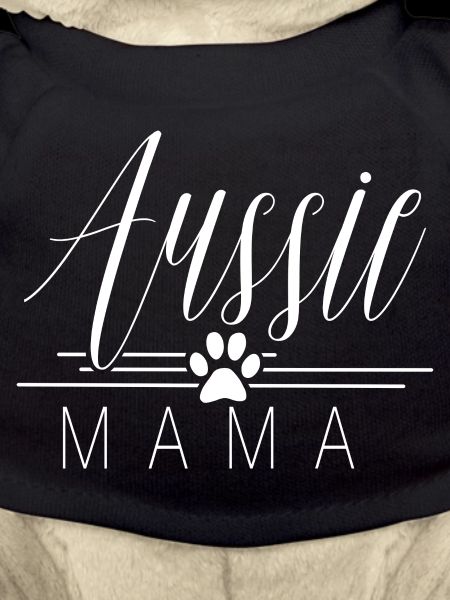 Australian Shepherd Aussie mom