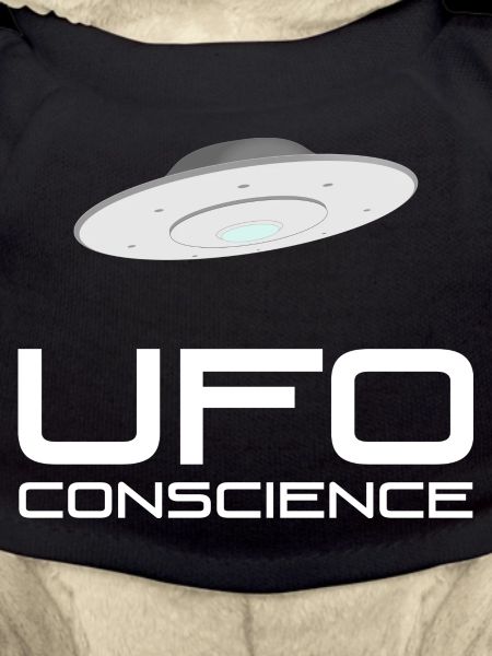 UFO Consciousness