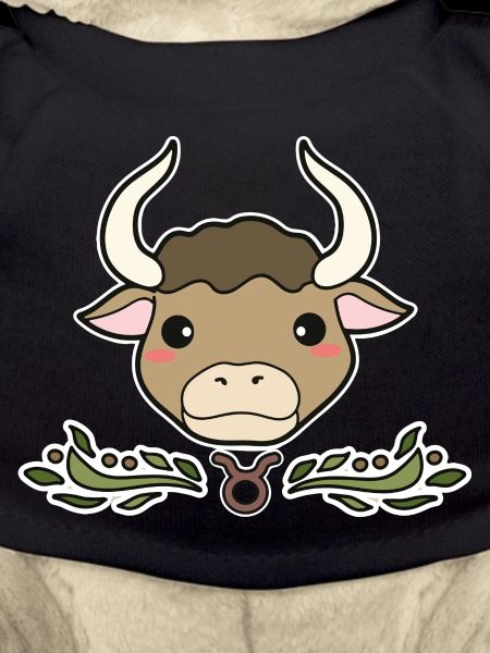 Stier Sternzeichen