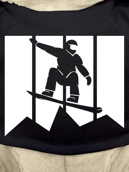 Snowboard Snowboarder