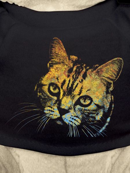 Face Cat