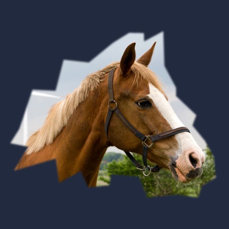 Cheval. Cheval.