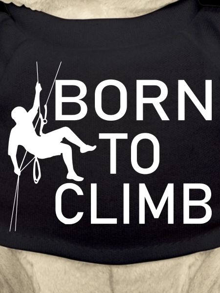 Escalade de bloc