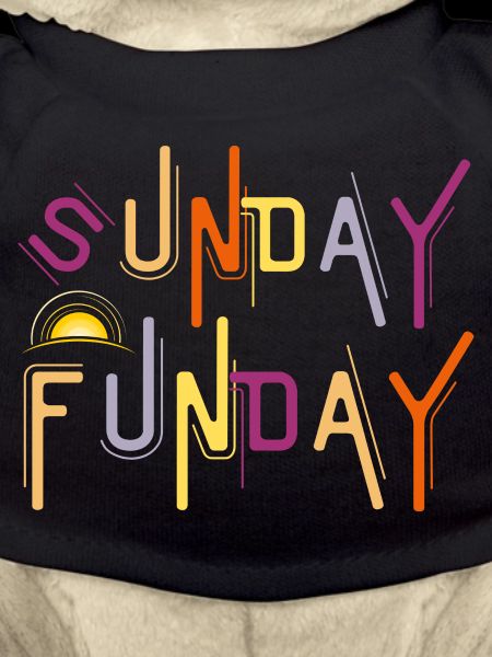 Sunday Funday - Funny Drinking