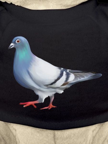 PIGEON